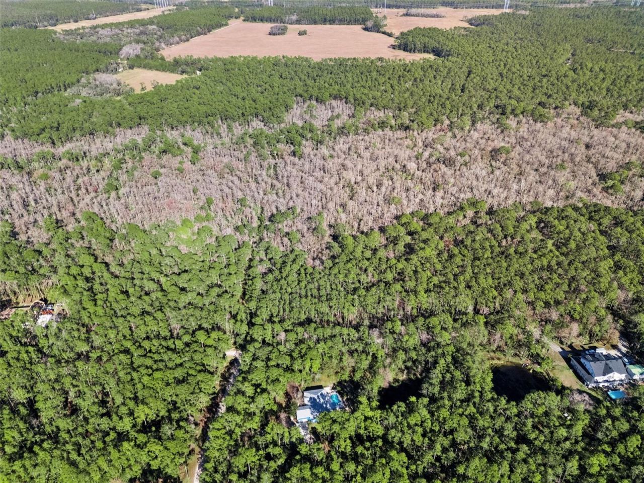 3441 Hickory Creek Road, Deltona, FL 32738 Photo