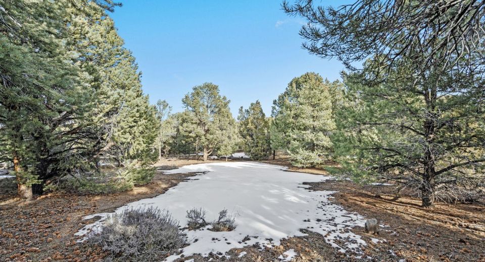 21740 Clemens Road, Reno, NV 89521 Photo