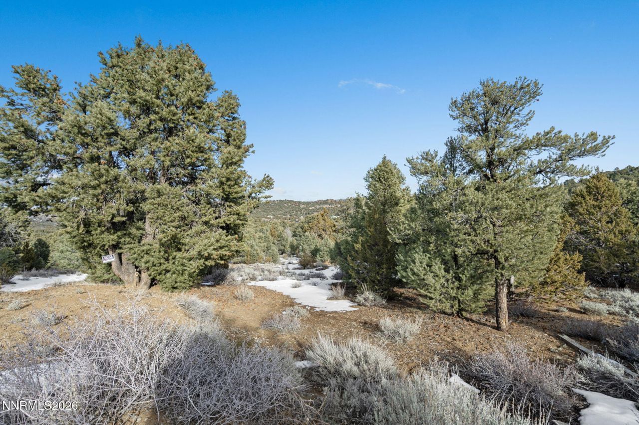 21740 Clemens Road, Reno, NV 89521 Photo