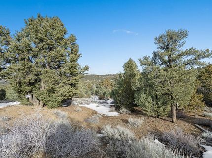 21740 Clemens Road, Reno, NV 89521 Photo