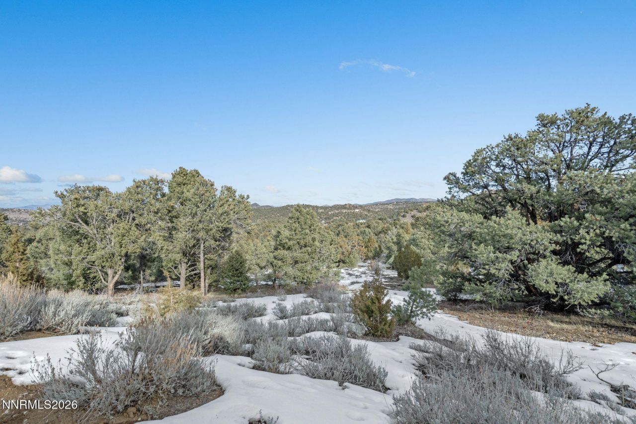 21740 Clemens Road, Reno, NV 89521 Photo