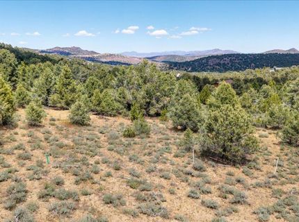 21740 Clemens Road, Reno, NV 89521 Photo