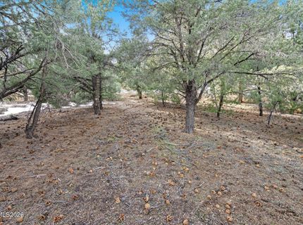 21740 Clemens Road, Reno, NV 89521 Photo
