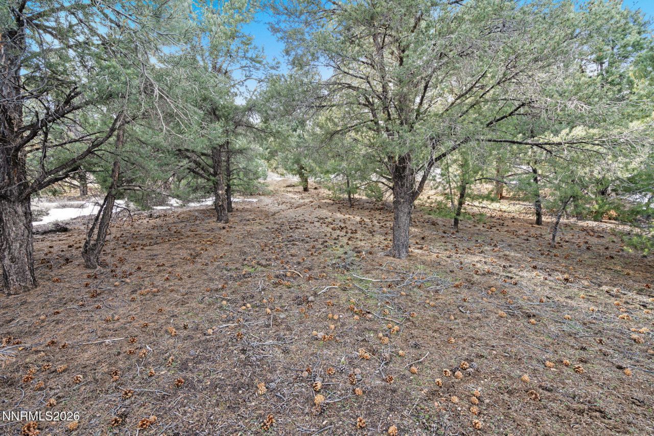 21740 Clemens Road, Reno, NV 89521 Photo