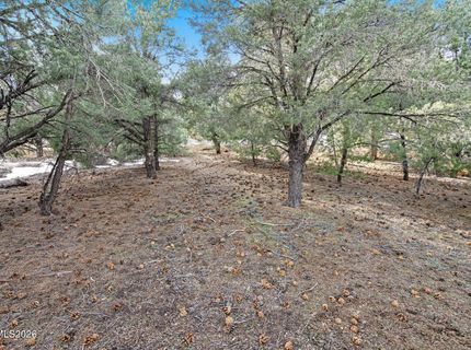 21740 Clemens Road, Reno, NV 89521 Photo