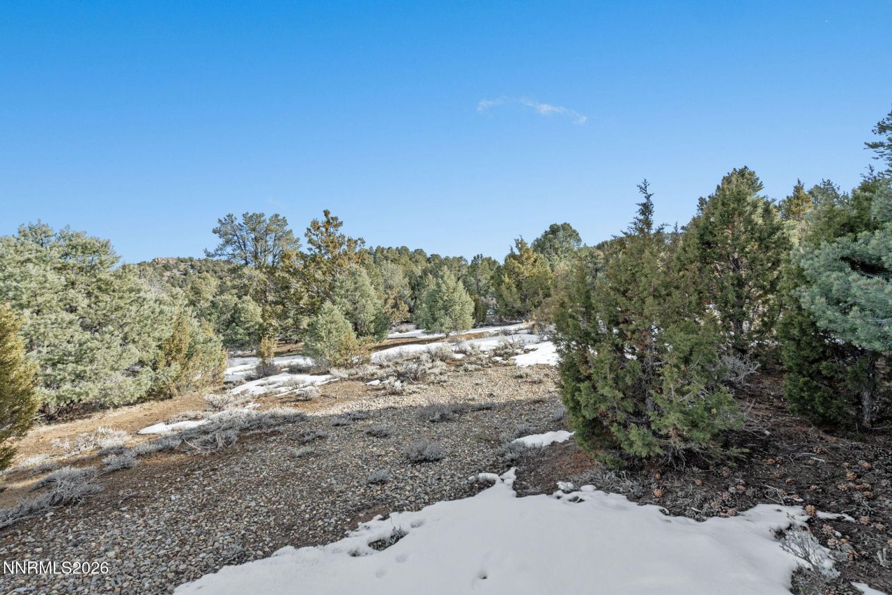 21740 Clemens Road, Reno, NV 89521 Photo