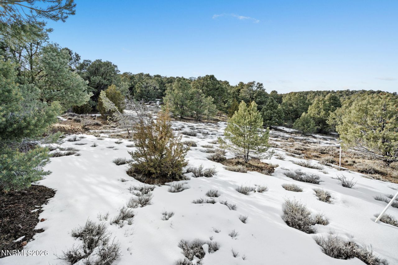 21740 Clemens Road, Reno, NV 89521 Photo