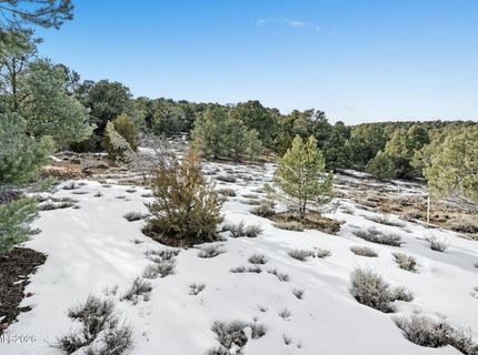 21740 Clemens Road, Reno, NV 89521 Photo