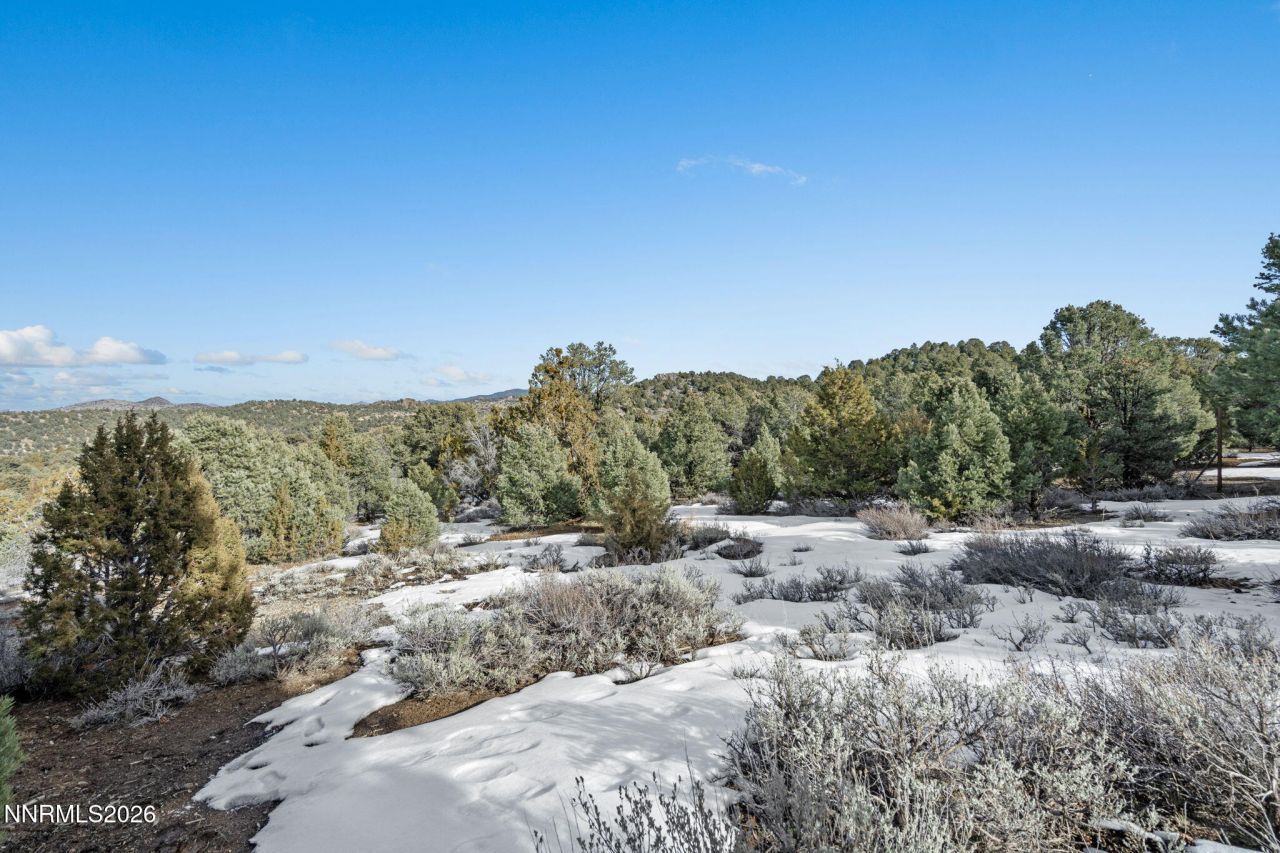 21740 Clemens Road, Reno, NV 89521 Photo