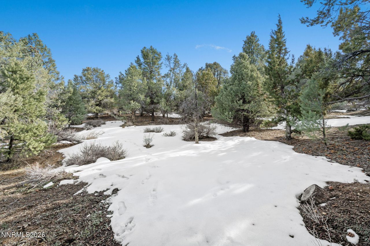 21740 Clemens Road, Reno, NV 89521 Photo