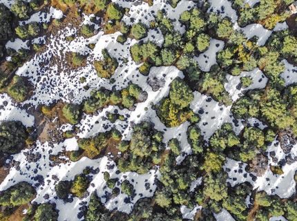 21740 Clemens Road, Reno, NV 89521 Photo