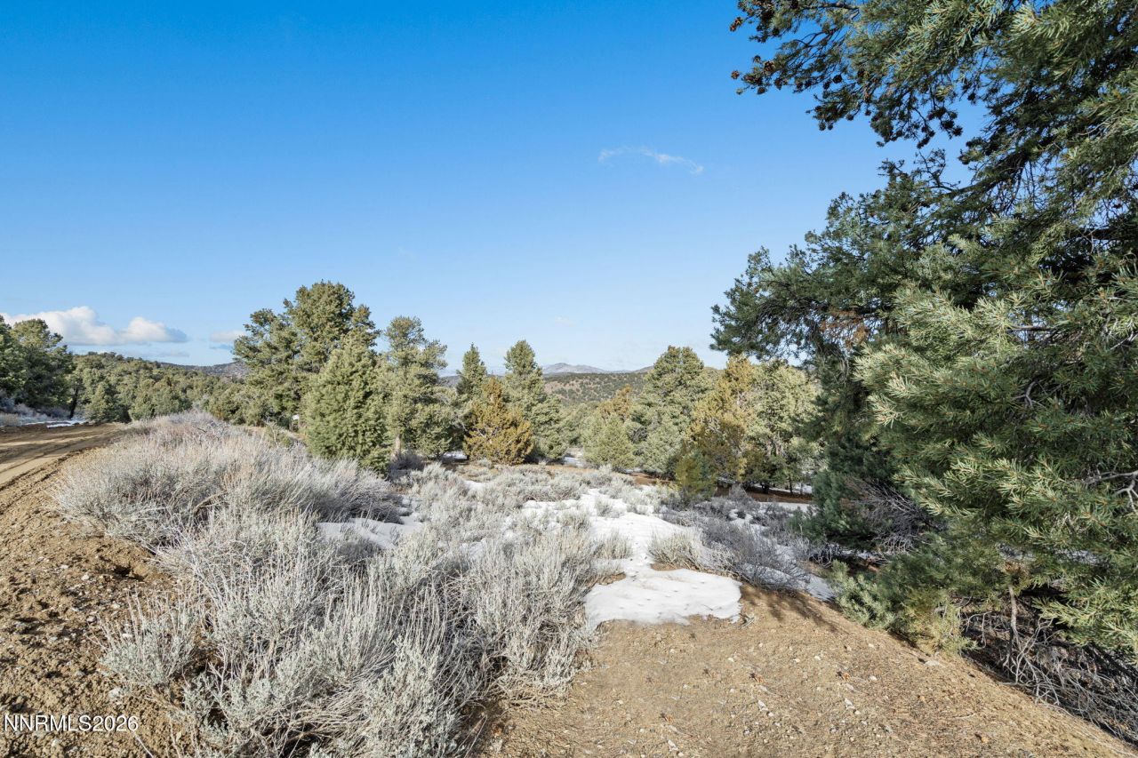 21740 Clemens Road, Reno, NV 89521 Photo