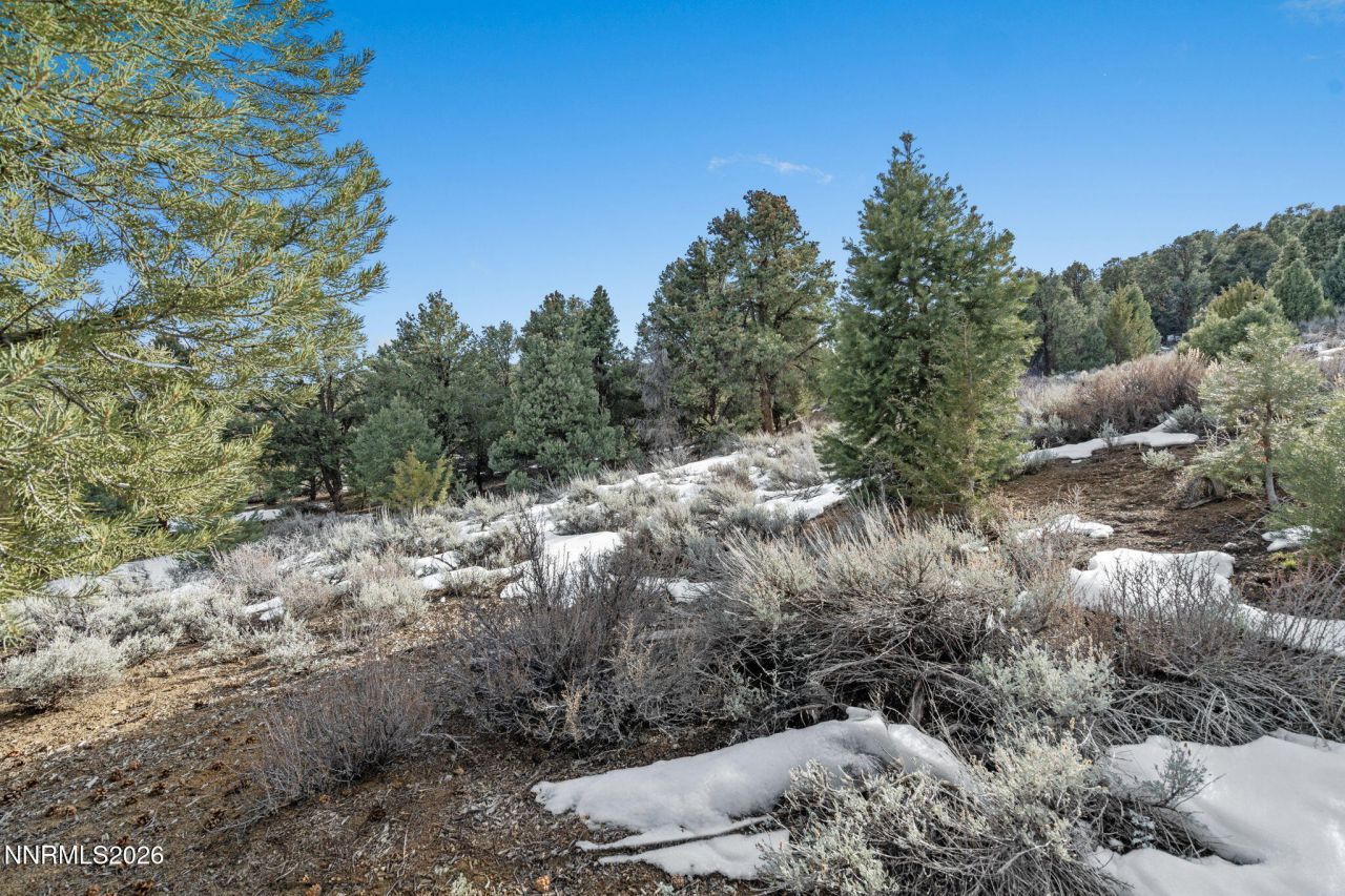 21740 Clemens Road, Reno, NV 89521 Photo