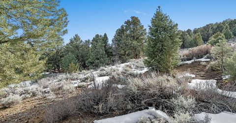 21740 Clemens Road, Reno, NV 89521 Photo