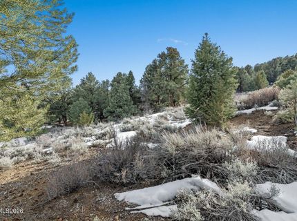 21740 Clemens Road, Reno, NV 89521 Photo