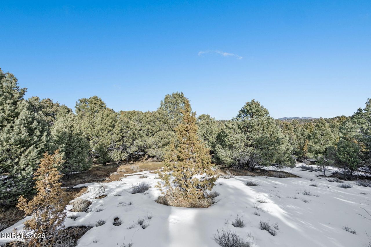 21740 Clemens Road, Reno, NV 89521 Photo