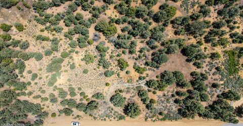 21740 Clemens Road, Reno, NV 89521 Photo