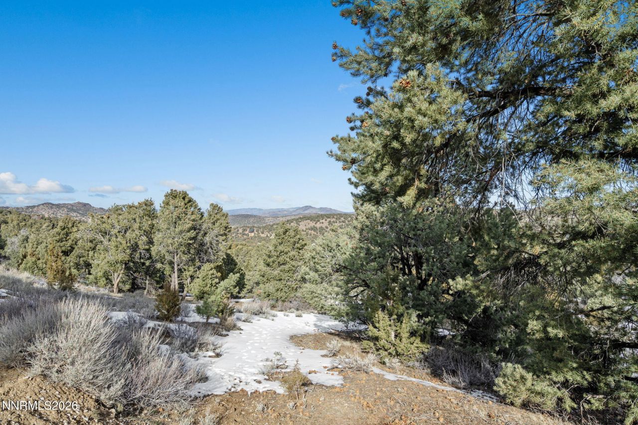 21740 Clemens Road, Reno, NV 89521 Photo