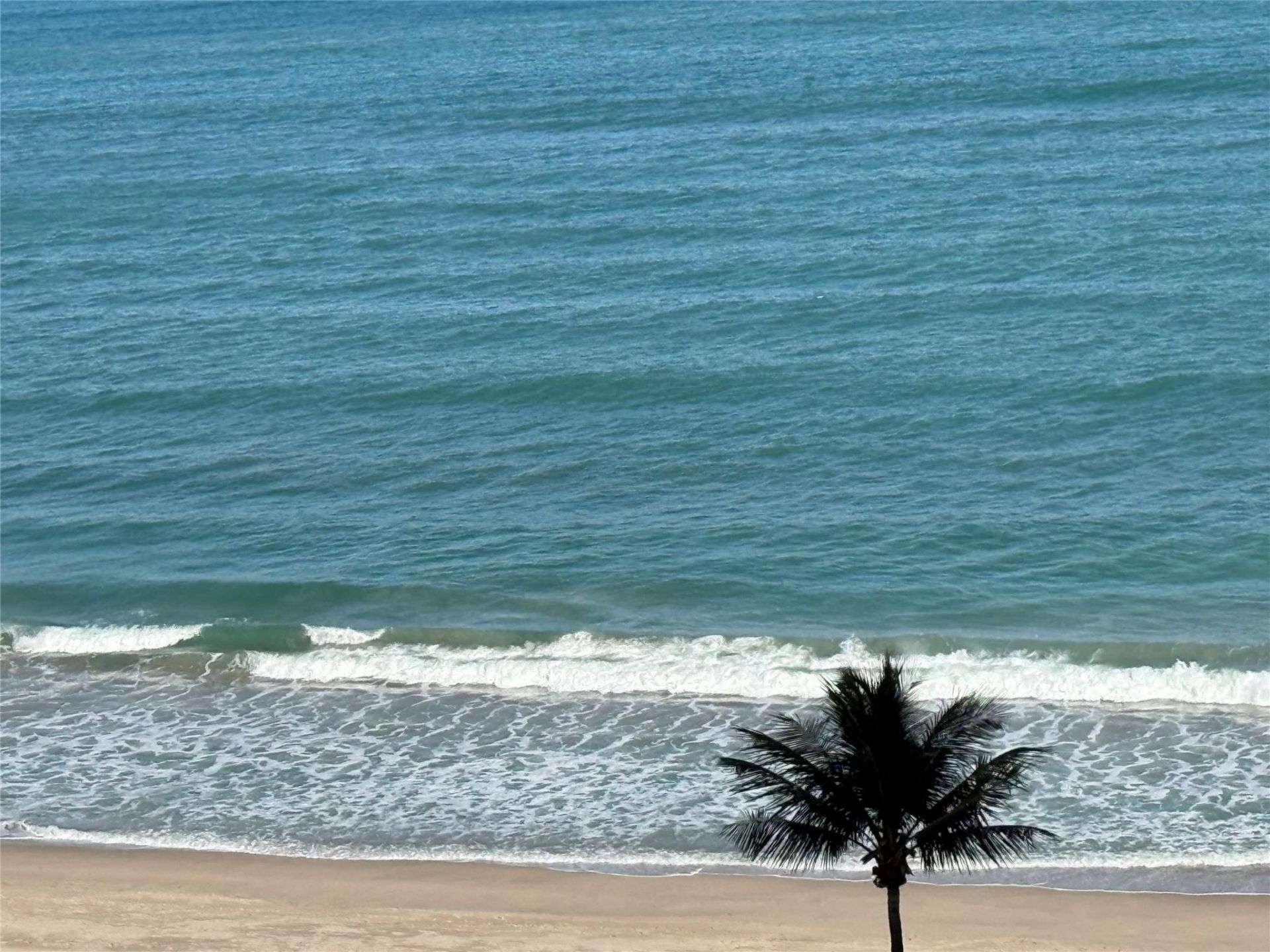 4250 Galt Ocean Drive, Unit 11J, Fort Lauderdale, FL 33308 Photo