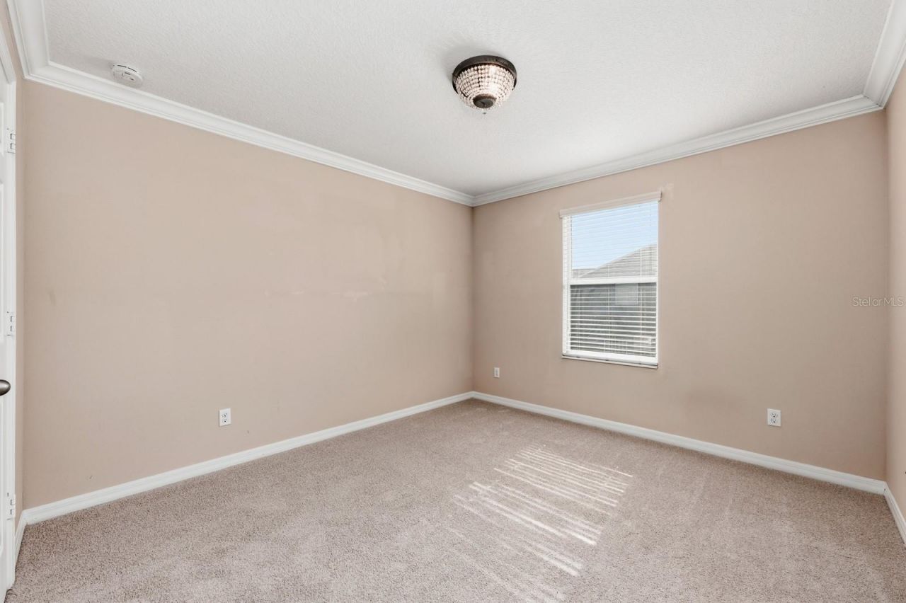 10954 High Bush Court, Orlando, FL 32825 Photo