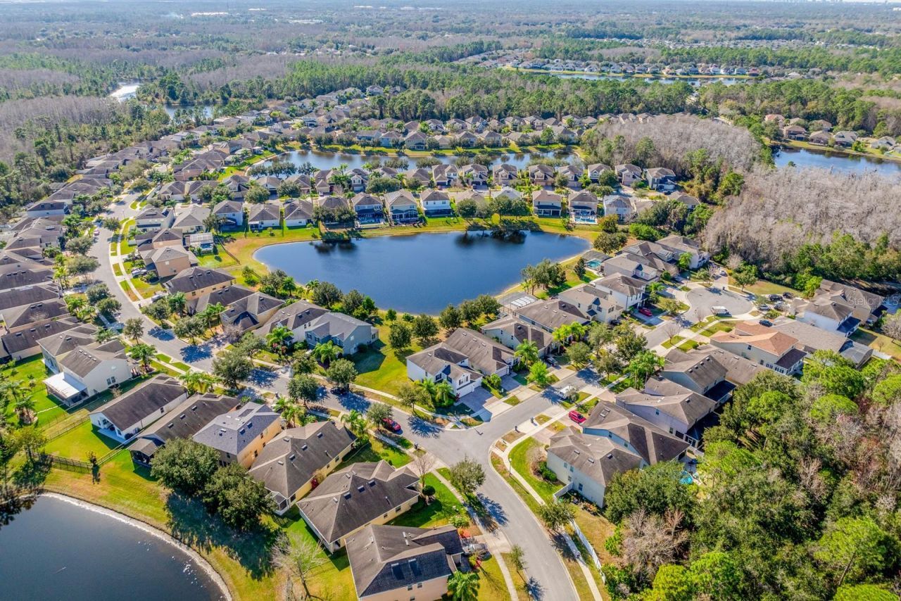 10954 High Bush Court, Orlando, FL 32825 Photo