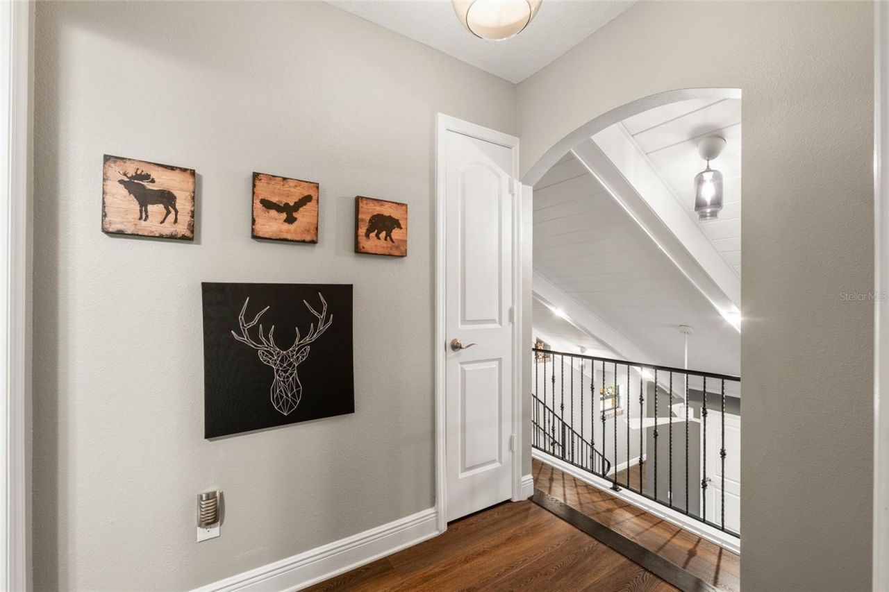 602 Druid Way, Lutz, FL 33548 Photo