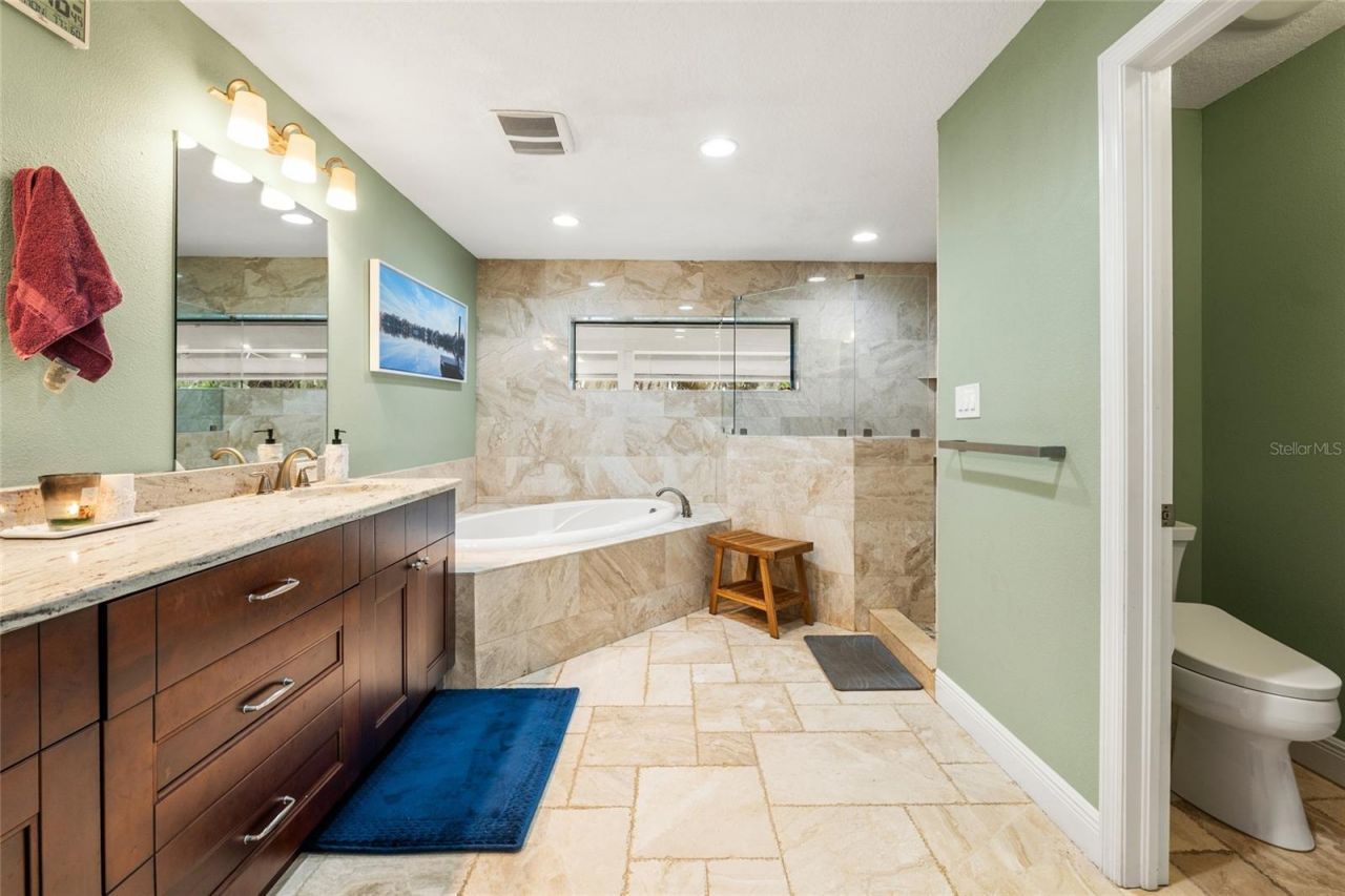 602 Druid Way, Lutz, FL 33548 Photo