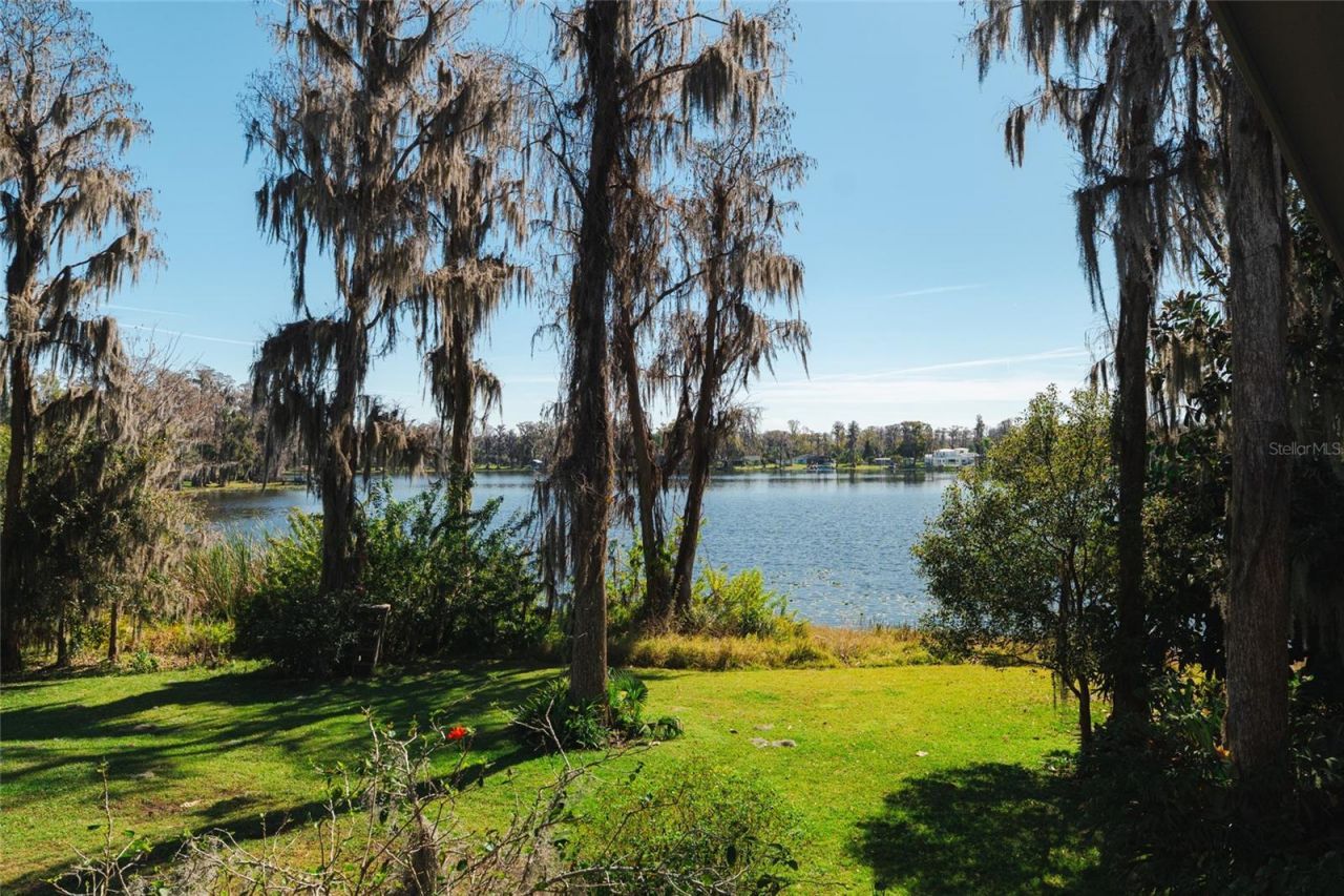 602 Druid Way, Lutz, FL 33548 Photo