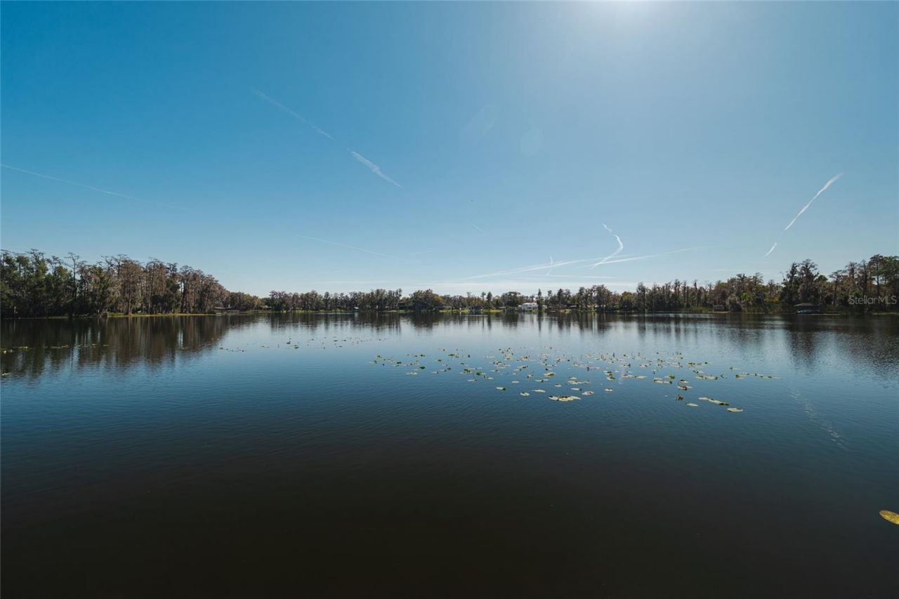 602 Druid Way, Lutz, FL 33548 Photo