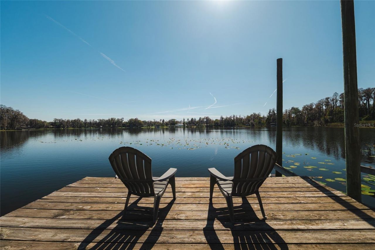 602 Druid Way, Lutz, FL 33548 Photo