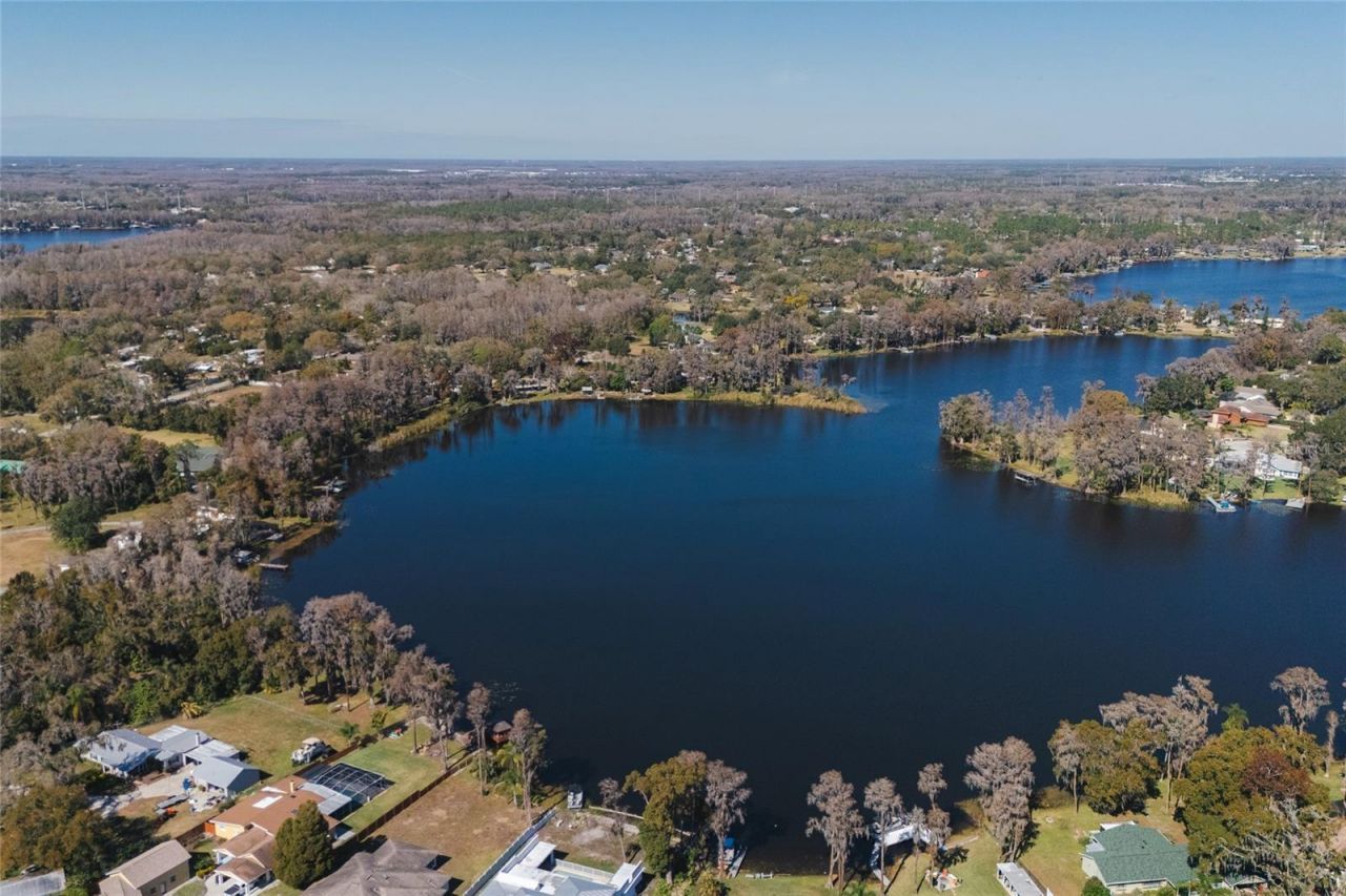 602 Druid Way, Lutz, FL 33548 Photo