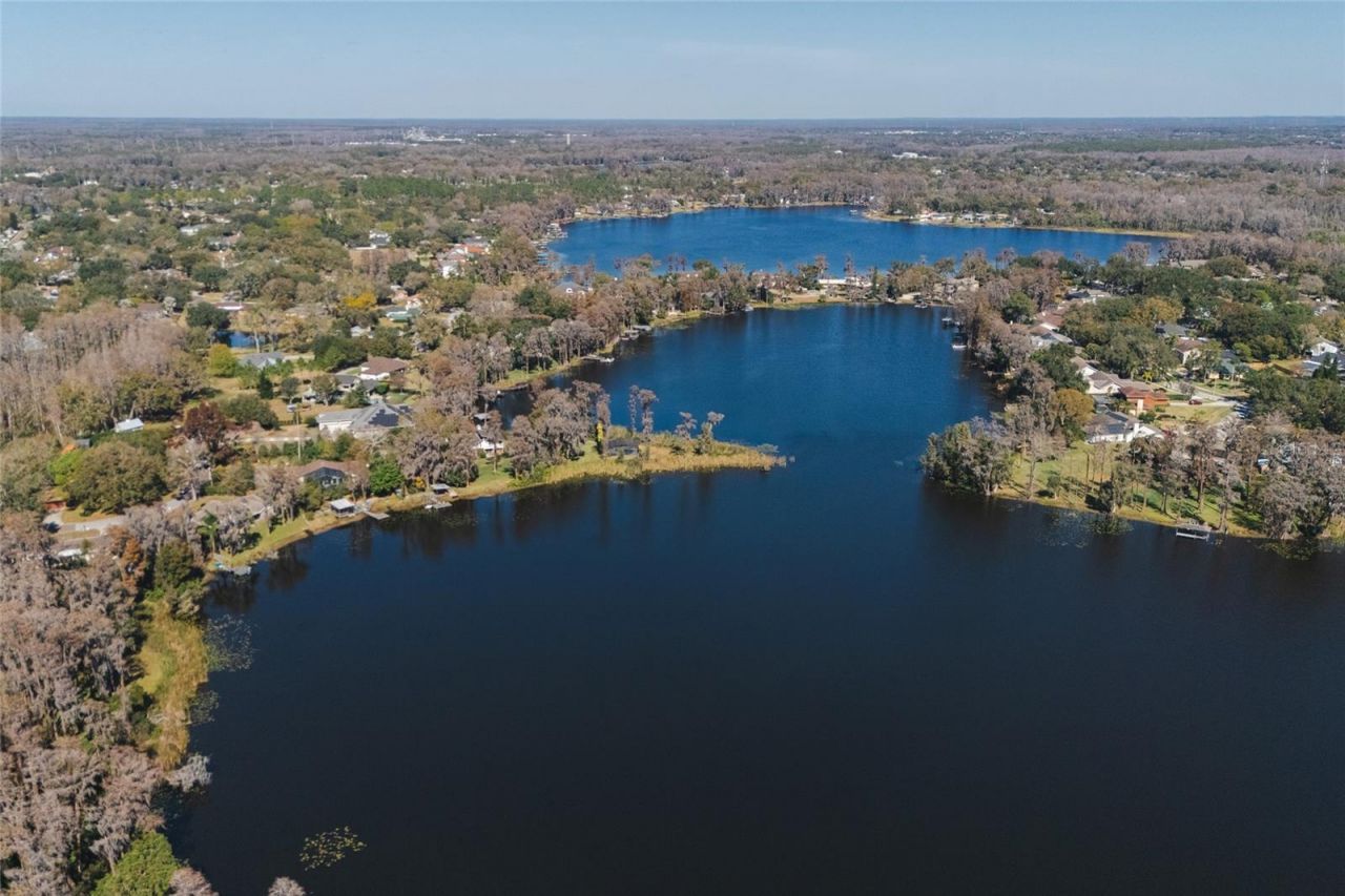 602 Druid Way, Lutz, FL 33548 Photo