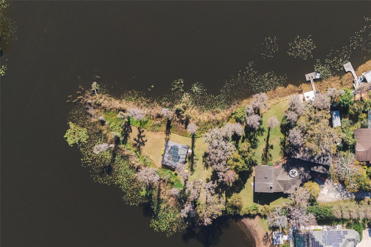 602 Druid Way, Lutz, FL 33548 Photo