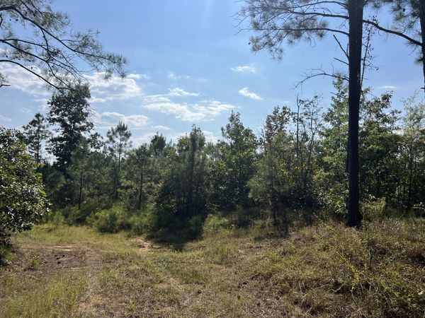 McDaniel Rd., Ethel, MS 39067