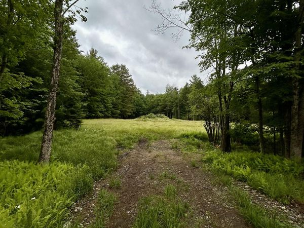 L40.12 Persch Road, Bleecker, NY 12078