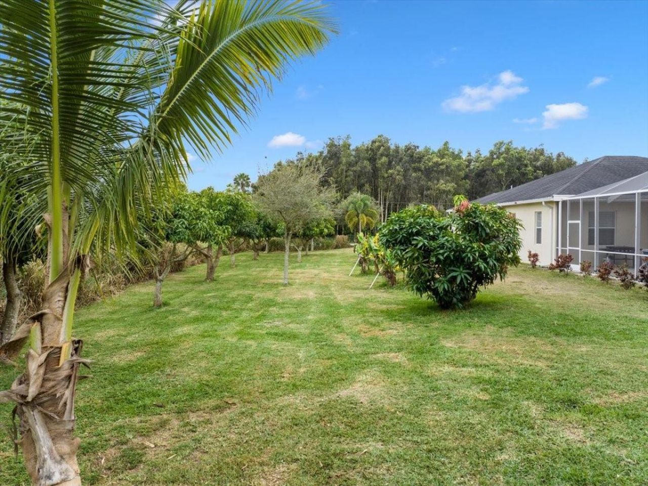 15895 67th Court, Loxahatchee, FL 33470 Photo