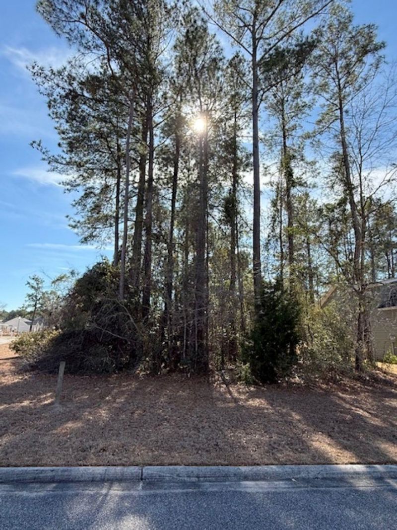 2001 Spring Valley Ct.  Photo 4