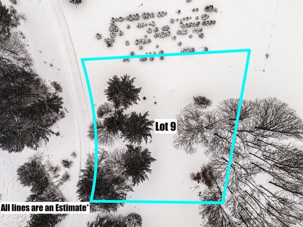 9 Kadi Lane, Lake Ann, MI 49650