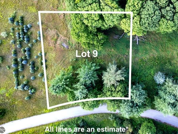 9 Kadi Lane, Lake Ann, MI 49650