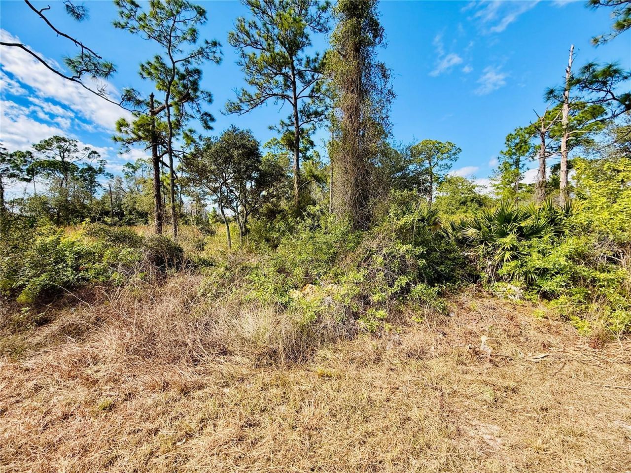 2007 Truman Avenue, Alva, FL 33920 Photo