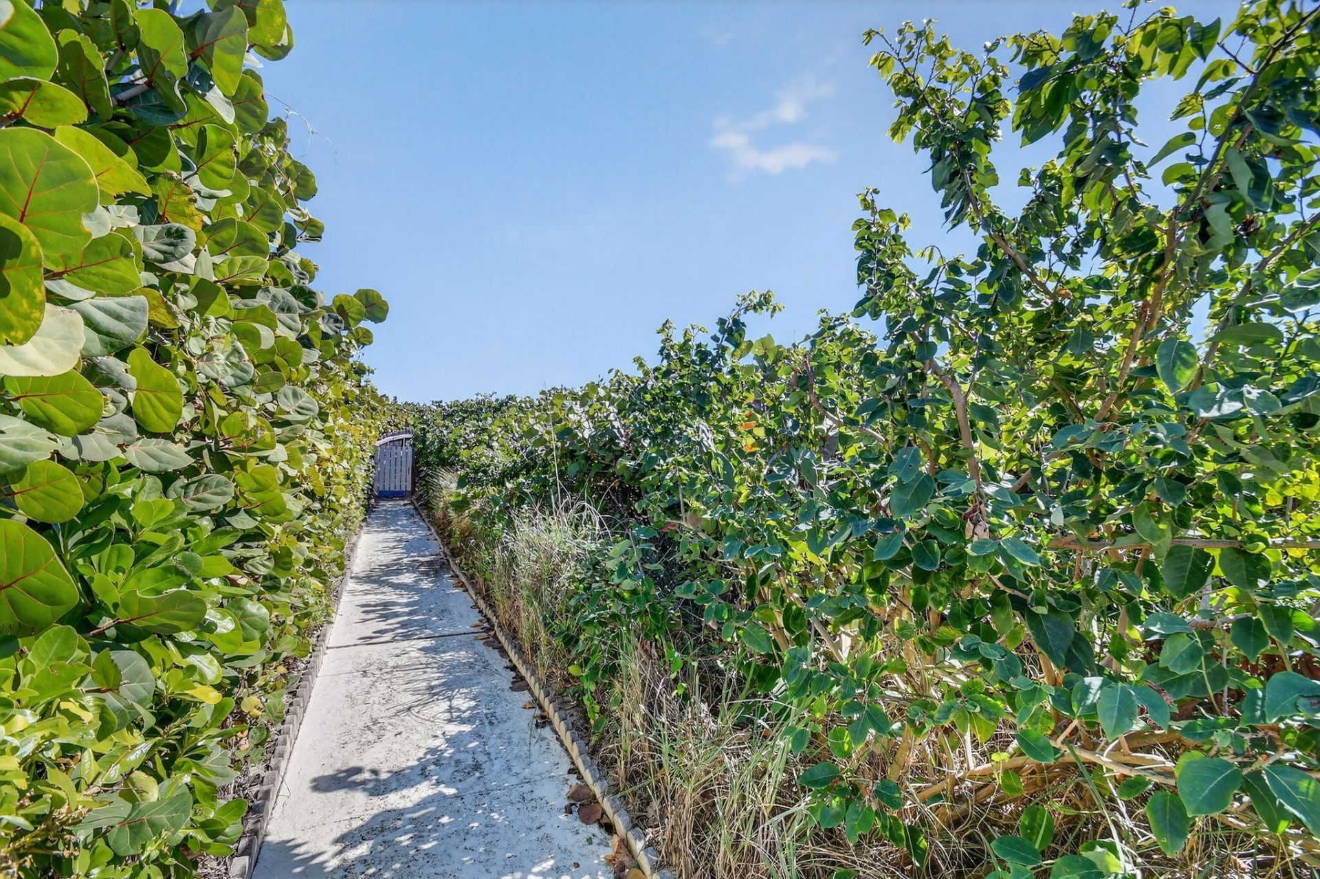 33 Ocean Avenue, Unit 202, Palm Beach Shores, FL 33404 Photo