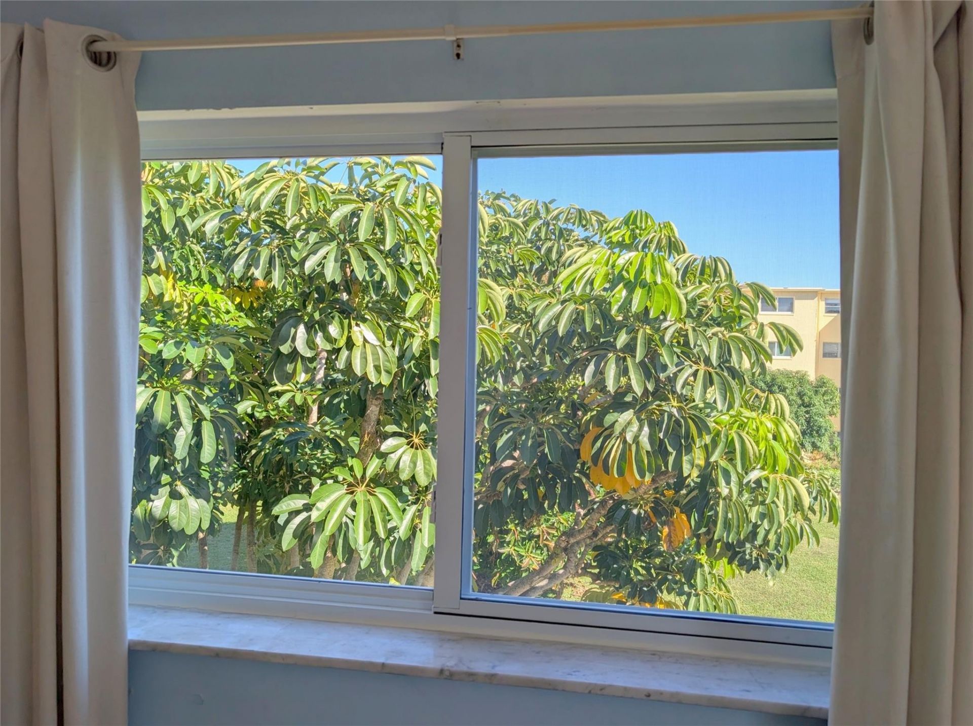 330 NE 26th Ave, Unit 318, Boynton Beach, FL 33435 Photo