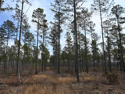 622 Pickett Thomas Road , Camden, SC 29020