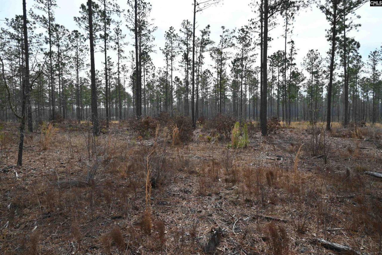 622 Pickett Thomas Road  Photo 10