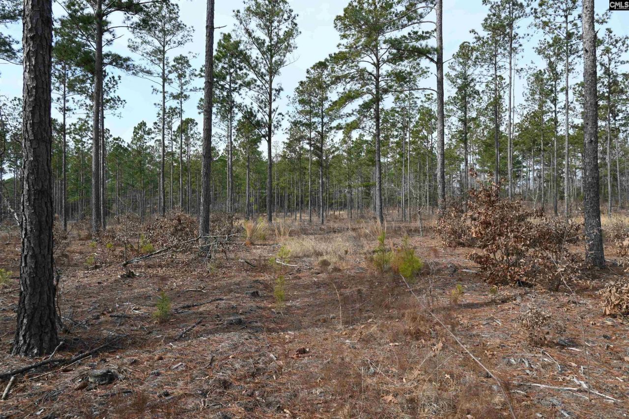 622 Pickett Thomas Road  Photo 11