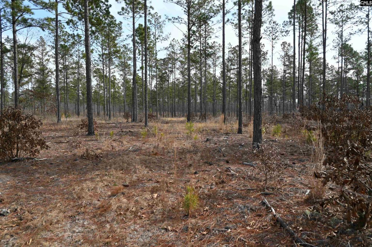 622 Pickett Thomas Road  Photo 12