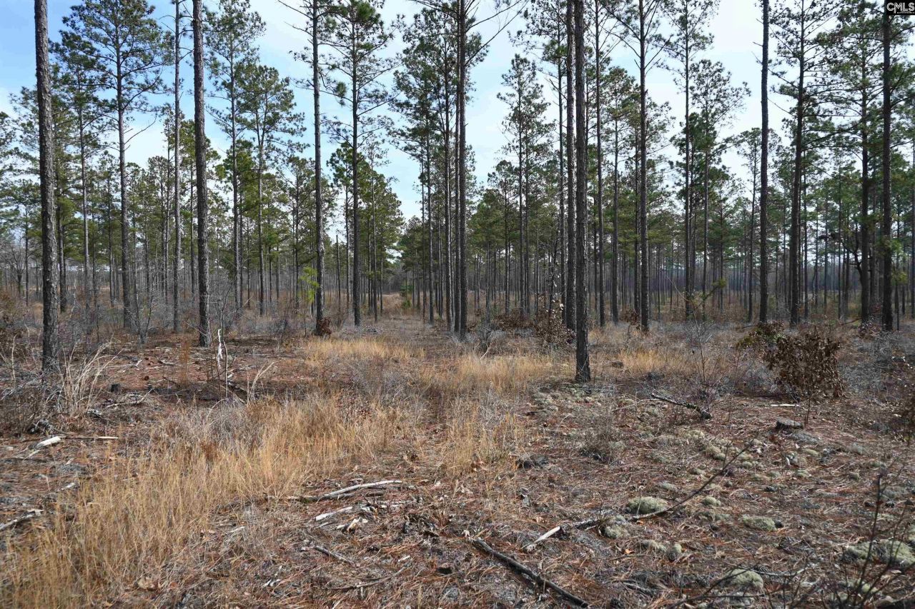 622 Pickett Thomas Road  Photo 13