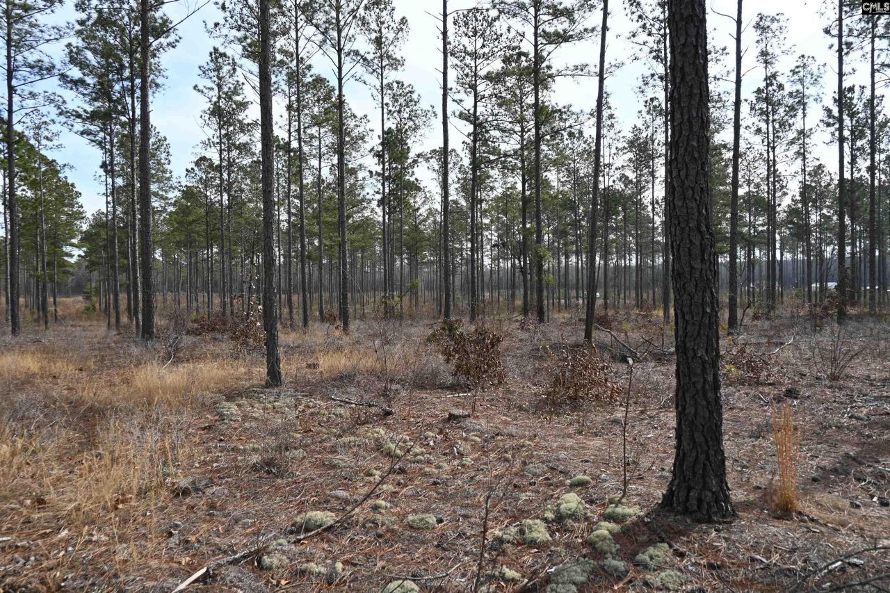 622 Pickett Thomas Road  Photo 14