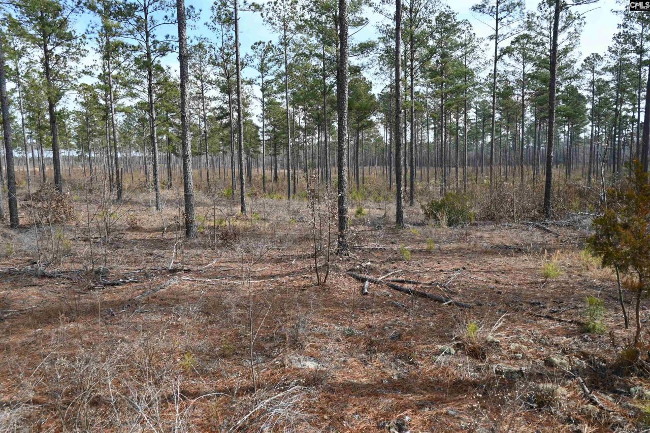 622 Pickett Thomas Road  Photo 15