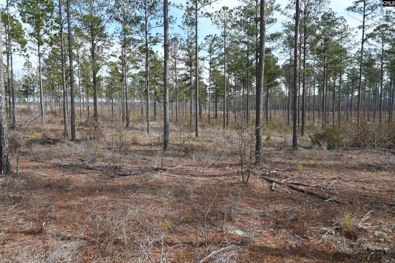 622 Pickett Thomas Road  Photo 16